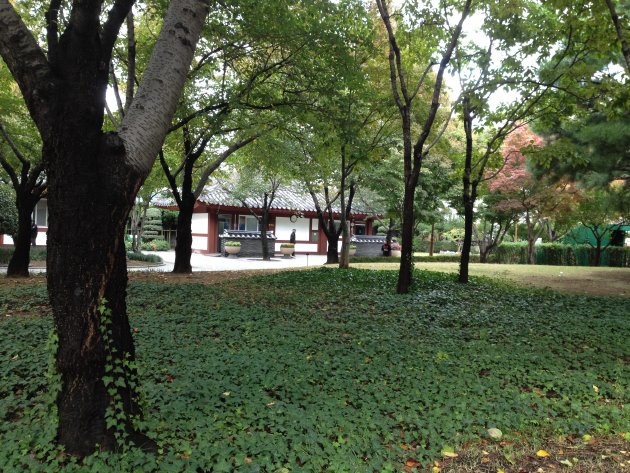 慶尚監営公園の風景